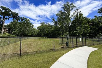 Dog park